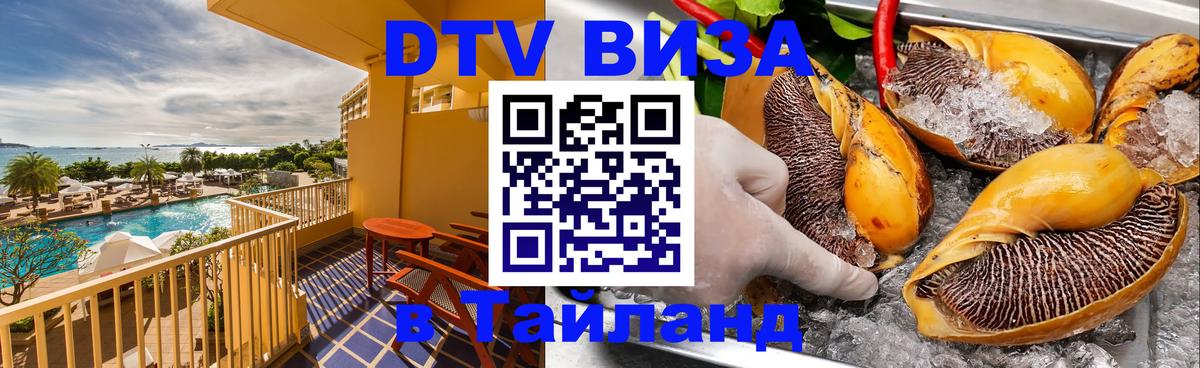 Сколько стоит DTV виза — актуальные цены, оформление даже без документов - 22.11.2025 